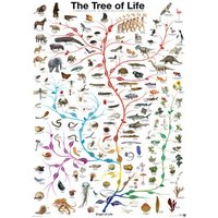 Die Evolution - Der Baum des Lebens 1000 Teile Puzzle  Eurographics