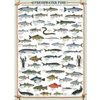 Süßwasserfische 1000 Teile Puzzle  Eurographics