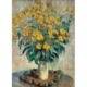 Claude Monet - Gartenkürbis Blumen 1000 Teile Puzzle  Eurographics