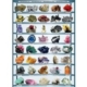 Mineralien der Welt 1000 Teile Puzzle  Eurographics
