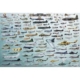 Kriegsflugzeuge Evolution 2000 Teile Puzzle  Eurographics
