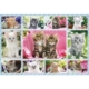 Katzenbabies 100 Teile Puzzle Schmidt Spiele