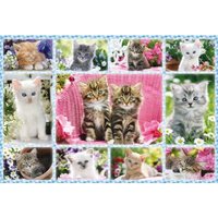 Katzenbabies 100 Teile Puzzle Schmidt Spiele
