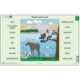 Rahmenpuzzle - Read and Look 05-06 (auf Englisch) 16 Teile Puzzle  Larsen