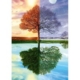 Jahreszeiten Baum 500 Teile Puzzle  Schmidt Spiele