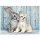 Cat and Bunny 500 Teile Puzzle  Clementoni