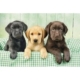 Drei Labore 1000 Teile Puzzle  Clementoni