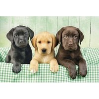 Drei Labore 1000 Teile Puzzle Clementoni