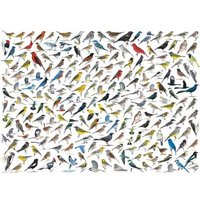 Vögelwelt 1000 Teile Puzzle  Eurographics