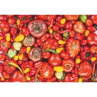 Tomato 1000 Teile Puzzle  DToys