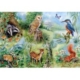 XXL Teile - Naturstudie 250 Teile Puzzle  HOP - House of Puzzles