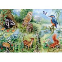 XXL Teile - Naturstudie 250 Teile Puzzle  HOP - House of Puzzles