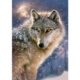 Einsamer Wolf 500 Teile Puzzle  Castorland