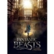 Poster Puzzle - Fantastic Beasts - Macusa 500 Teile Puzzle  Wrebbit 3D