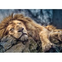Löwe 1000 Teile Puzzle Trefl