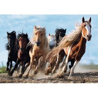 Pferde 1000 Teile Puzzle  Trefl