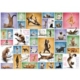 Yoga Cats 1000 Teile Puzzle Eurographics