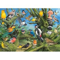 Joahn Francis - Garden Birds 1000 Teile Puzzle  Eurographics