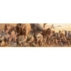 Haruo Takino - Dinosaurier 1000 Teile Puzzle Eurographics