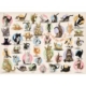 XXL Teile - Familiy Puzzle: Yoga Kittens 500 Teile Puzzle  Eurographics