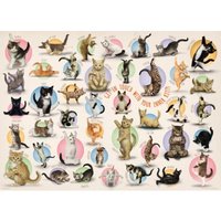 XXL Teile - Familiy Puzzle: Yoga Kittens 500 Teile Puzzle Eurographics