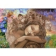 Josephine Wall - If Only 2000 Teile Puzzle Grafika