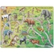 Rahmenpuzzle - The Road From Ape to Human (auf Englisch) 83 Teile Puzzle Larsen