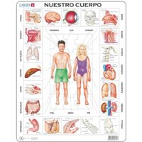 Rahmenpuzzle - Nuestro Cuerpo (auf Spanisch) 35 Teile Puzzle  Larsen