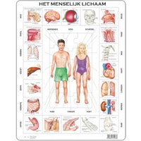 Rahmenpuzzle - FrozenHet Menselijk Lichaam (Holländisch) 35 Teile Puzzle  Larsen