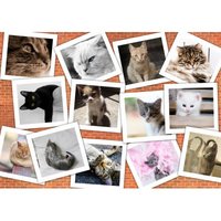 Katzen 1500 Teile Puzzle  Grafika