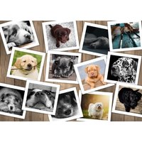 Hunde 2000 Teile Puzzle  Grafika
