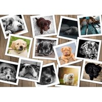 Hunde 1500 Teile Puzzle  Grafika