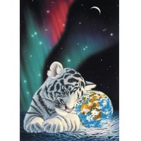 Schim Schimmel - Earth Light 1500 Teile Puzzle  Grafika