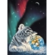 Schim Schimmel - Earth Light 1000 Teile Puzzle  Grafika