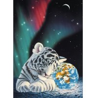 Schim Schimmel - Earth Light 1000 Teile Puzzle  Grafika