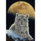 Schim Schimmel - Moon Leopard 1500 Teile Puzzle Grafika
