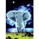 Schim Schimmel - Spirit of Africa 1000 Teile Puzzle Grafika