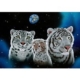 Schim Schimmel - Gentle Family 1500 Teile Puzzle  Grafika