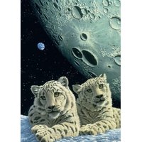 Schim Schimmel - Lair of the Snow Leopard 1500 Teile Puzzle  Grafika
