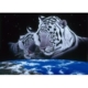 Schim Schimmel - Sleep Tight 1500 Teile Puzzle Grafika