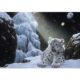 Schim Schimmel - Ice House 1500 Teile Puzzle Grafika