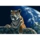 Schim Schimmel - Only One Home 1500 Teile Puzzle Grafika