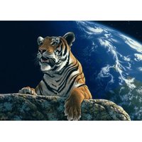Schim Schimmel - Only One Home 1500 Teile Puzzle  Grafika