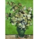 Vincent Van Gogh 1000 Teile Puzzle DToys