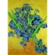 Vincent Van Gogh 1000 Teile Puzzle  DToys