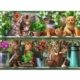 Katzen im Regal 500 Teile Puzzle  Ravensburger