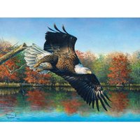 Abraham Hunter - Wetlands Eagle 1000 Teile Puzzle  SunsOut
