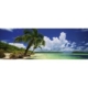 Edition Alexander Von Humboldt - Panoramapuzzle - Paradise Palms 2000 Teile Puzzle  Heye