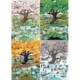 Cartoon Classics - 4 Seasons 2000 Teile Puzzle  Heye