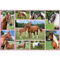 Pferdeträume 150 Teile Puzzle  Schmidt Spiele
